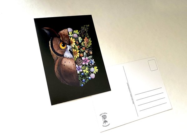 Pöllön Kasvot -postikortti